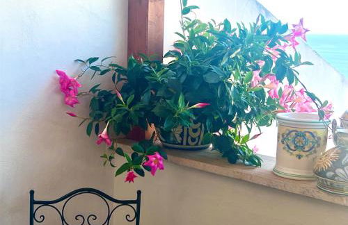 CasAzzurra - Photo 64