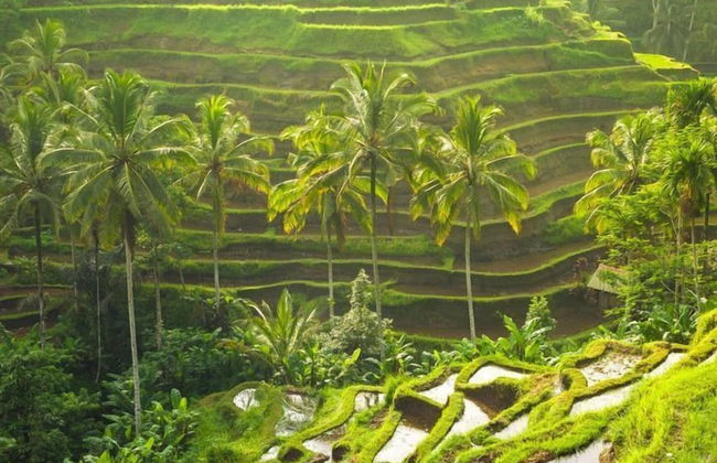 Jendela di Bali Villa - Foto 76