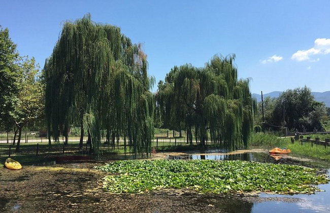 Kerkini Lake - Private Full-Day Tour - Photo 7