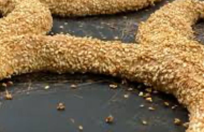 Tour gastronómico de Mykonos - Sabores y gustos locales - Foto 4