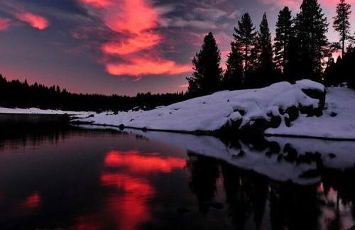 Creekside Cabin - Pup-Friendly with AC - Foto 79