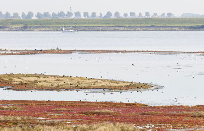 Luxurious Villa With a Jetty, Close to Veerse Meer - Foto 18