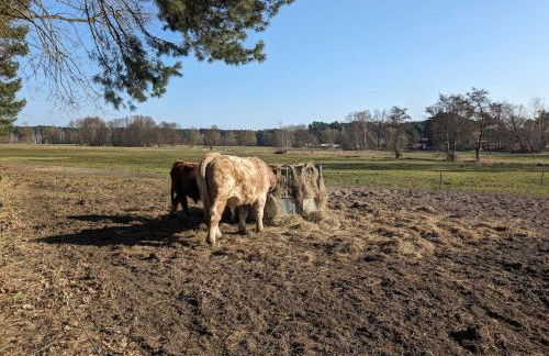 Haus am See - Foto 31