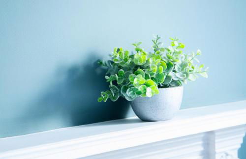 Stylish 3x bed house in Soham - Photo 14