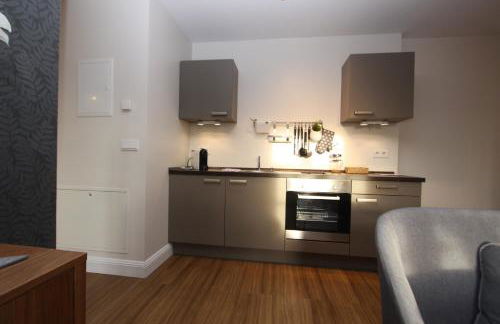 Apartments am Völkerschlachtdenkmal - Foto 41