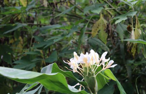 Casa no Centro Com Vista Panorâmica - Photo 21