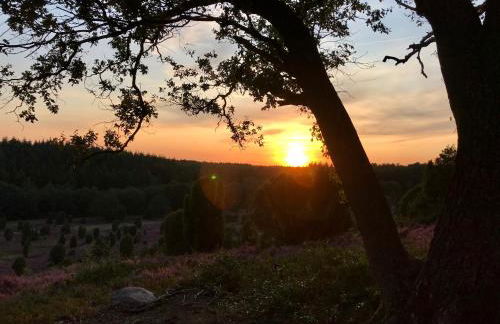 Haus Petersen - Foto 31