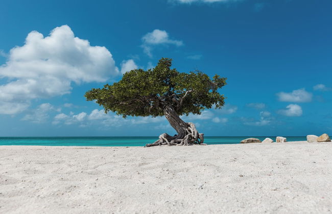 Felicidad 30 - Foto 35