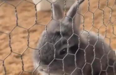 Flat Recanto Monte Castelo - Gravatá - Foto 37