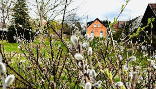 Ferienwohnung Zur Alten Tischlerei - Foto 4