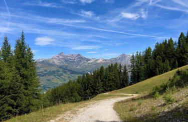 Le Falyoucher - Foto 27