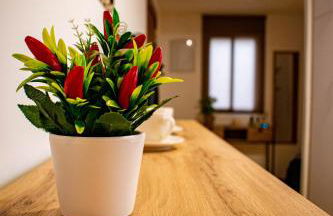 Alojamiento entero, centro de Córdoba con cochera - Foto 7