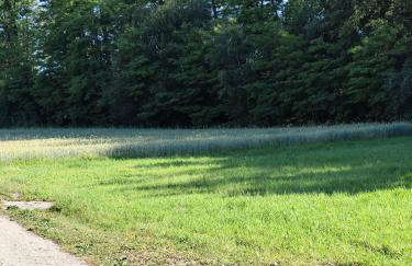 Domki pod skarpą Zator 27 - Foto 28