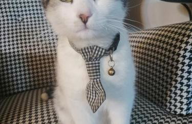 Agriturismo Terralieta - Photo 76