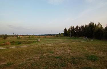 DOM w JESIONACH Brajniki - działka 1 HEKTAR - Photo 41