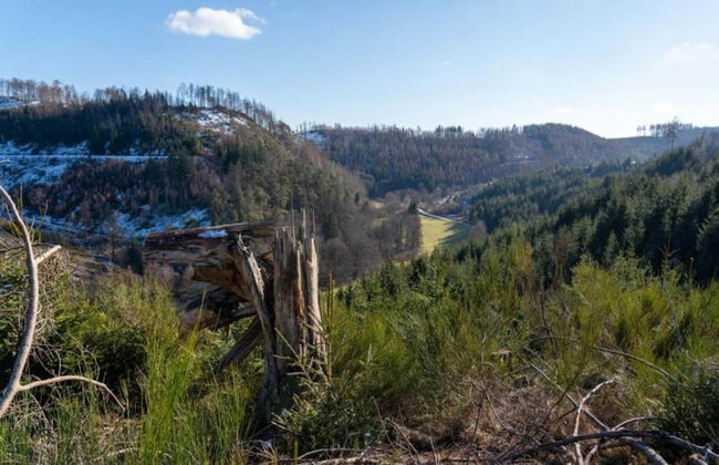 Oberkirchen Hillside Retreat - Foto 39