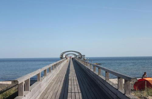 Silbermöwe im Kirschgarten - Foto 56