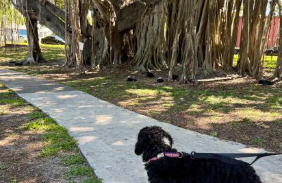 Stay Inspired | Cozy Artist Loft, Walkable & Artsy - Foto 50