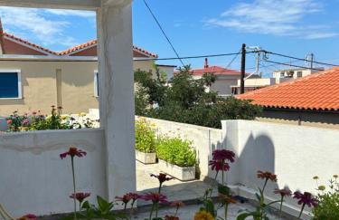Anthemis Studios - Photo 3