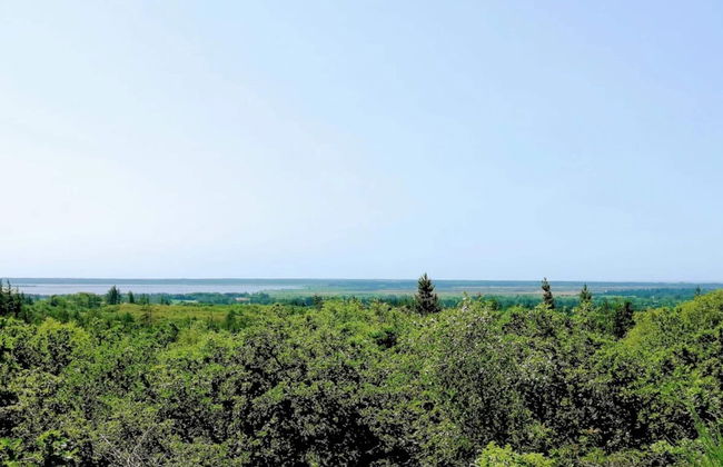 6 Person Holiday Home in Henne-by Traum - Foto 24