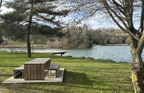 Le Cosy Home Annecy - Foto 31