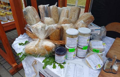 PRZYSTANEK nowEKOprzywno - Żółty Domek Pod Kasztanem - Foto 19