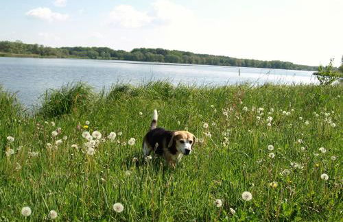 Ferienhäuser Pannier I und oder II - Foto 25