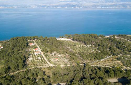 Villa Maginja - Photo 45