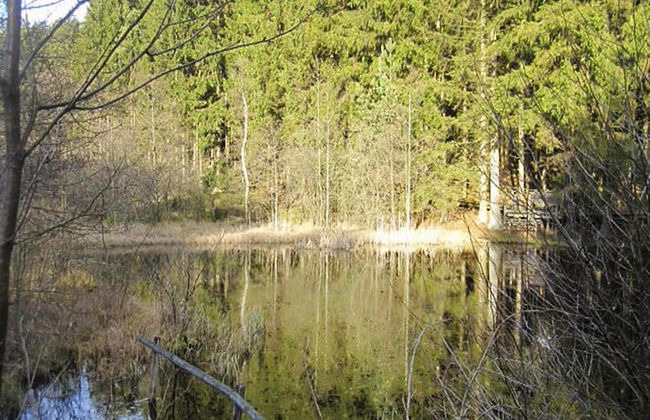 Apartments, Lissendorf - Foto 69