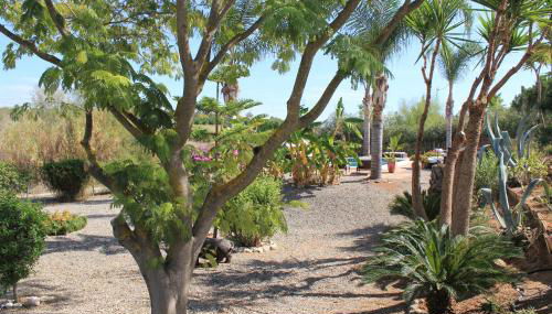 Los Chozones - Foto 5, Garden