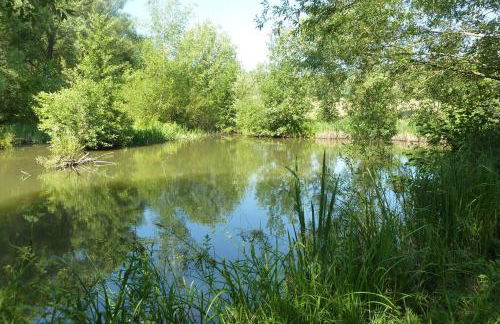 Königin Victoria - Appartement mit Saunanutzung - Foto 21