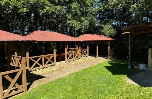 Domki Winnica Maria Anna - Foto 5