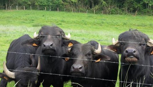 Maison Bienvenue chez Mémé - Foto 2