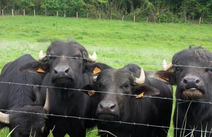 Maison Bienvenue chez Mémé - Foto 2