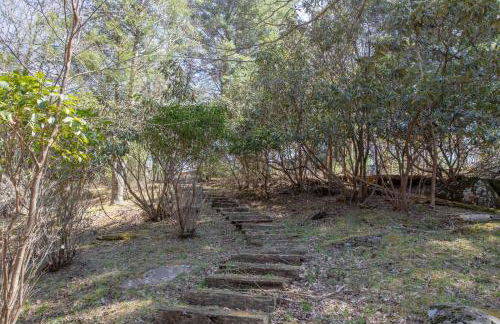 Happy Apple - Foto 31