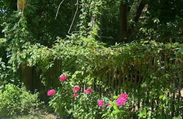 Le Moulin de Rochopt - Photo 40