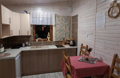 Domki Borowiackie nad brzegiem jeziora - Foto 24