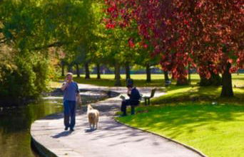 Family Studio Garden view 5min to Elizabeth Line - Foto 38