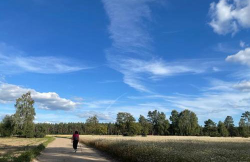 LEŚNY KĄCIK - Foto 29