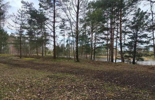 Kleine Freiheit Nummer 5 - Foto 30