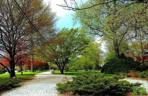 Urban Oasis in Hope Village - Foto 31