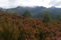 CASA MUNIELLOS - Foto 30