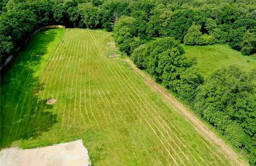 The Pines - Photo 13