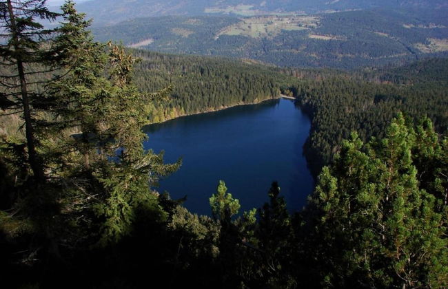 Quaint Holiday Home in Železná Ruda near Ski Area - Foto 31