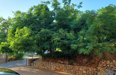 Apartmani Cindrić - Foto 13