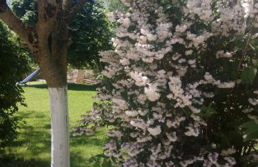 Zisis Garden Studios - Photo 48