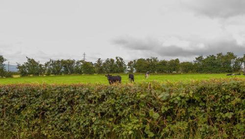 Mc Callstown House Apartment - Foto 3