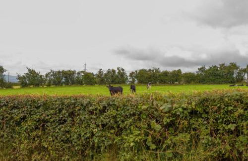 Mc Callstown House Apartment - Foto 3