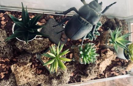 Domus Merian XII - Foto 38