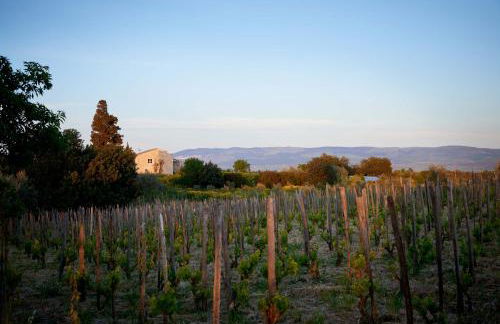 Baglio Occhipinti - Foto 42